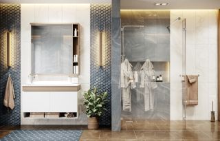 Душевая перегородка Ambassador Walk-in 15031106 100см хром/прозрачное